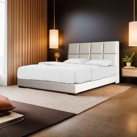 Gian Faux Leather Storage Bed Frame + 10" Spring Mattress